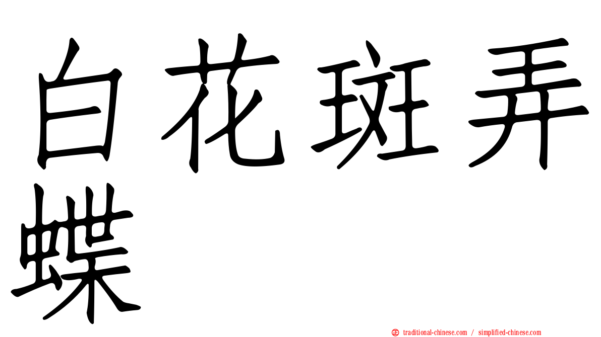 白花斑弄蝶