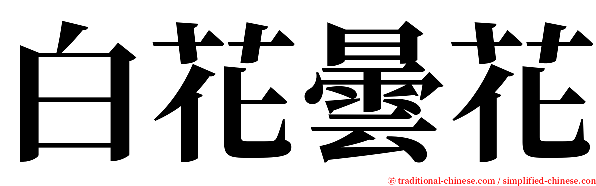 白花曇花 serif font