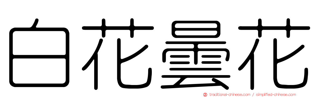 白花曇花