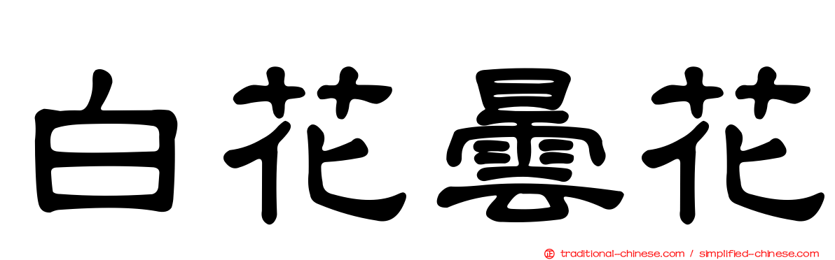 白花曇花