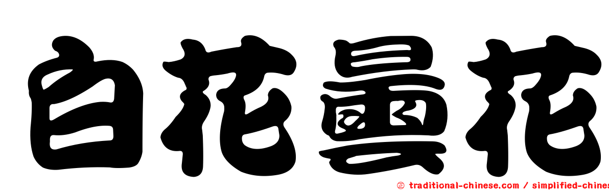 白花曇花