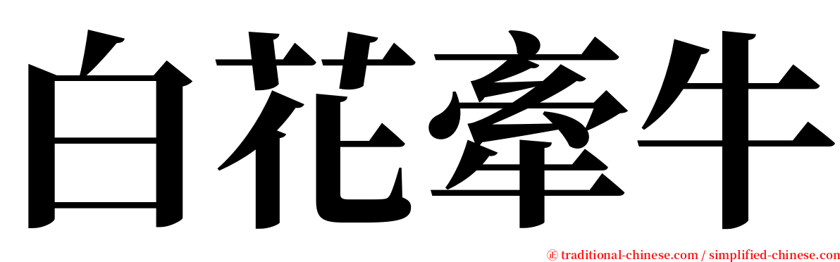 白花牽牛 serif font