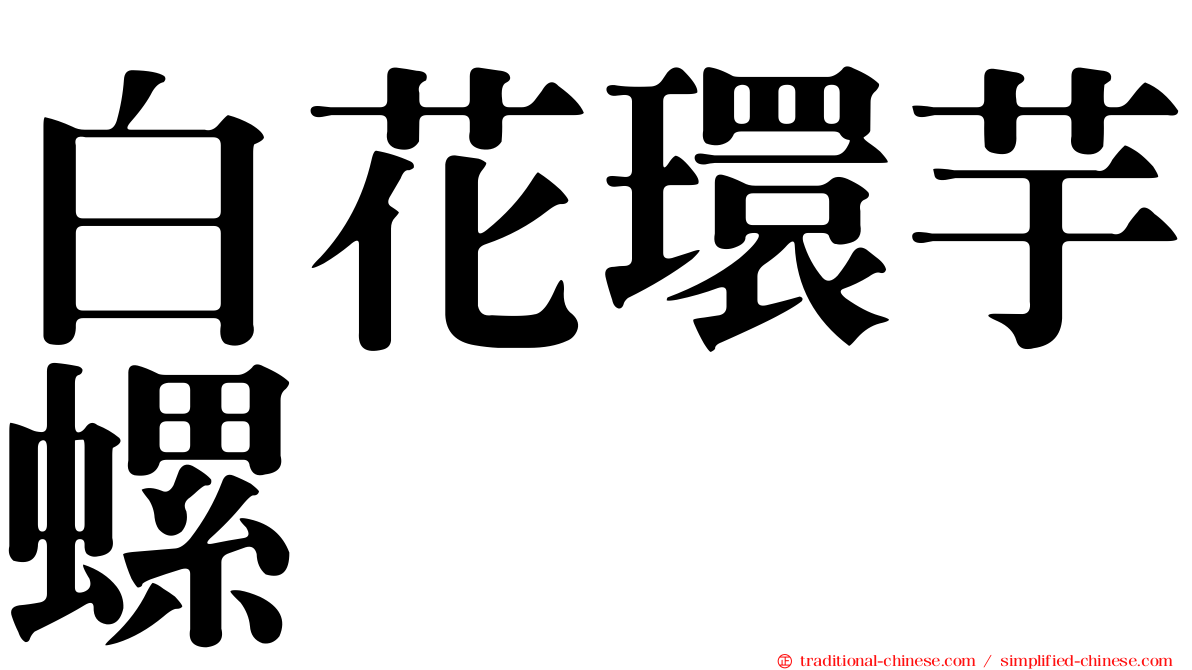 白花環芋螺