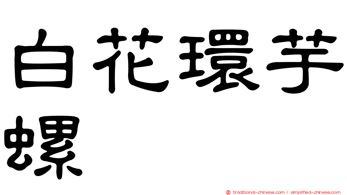 白花環芋螺