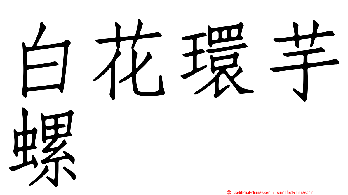 白花環芋螺