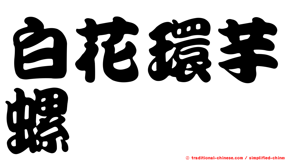白花環芋螺