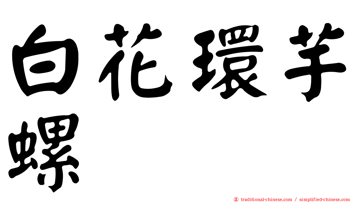 白花環芋螺