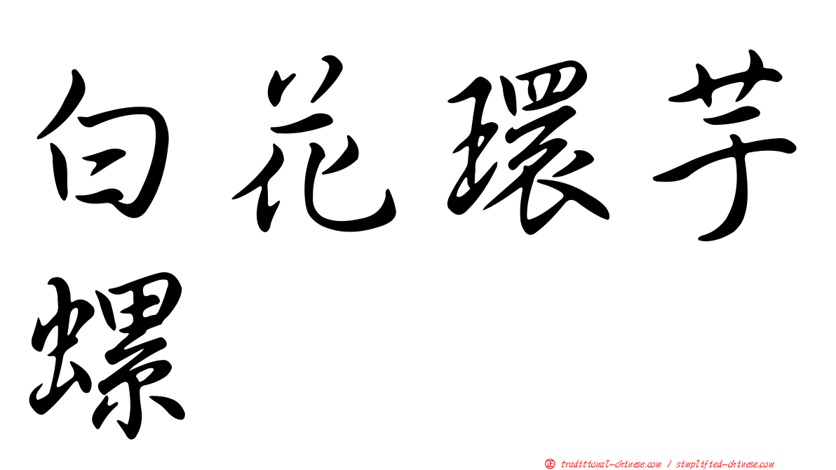 白花環芋螺