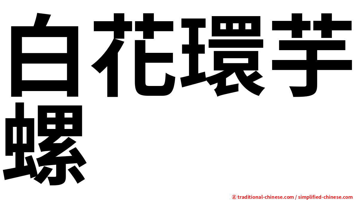 白花環芋螺