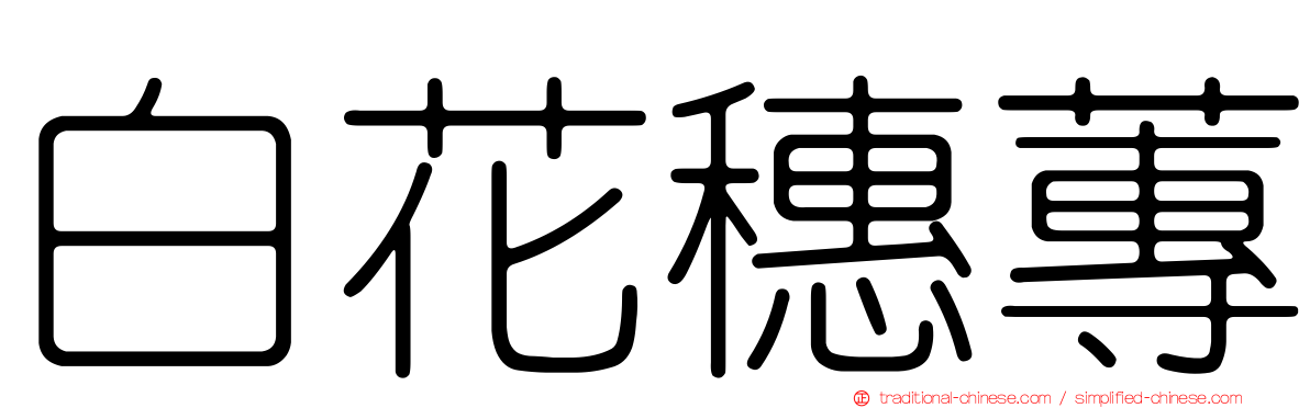 白花穗蓴