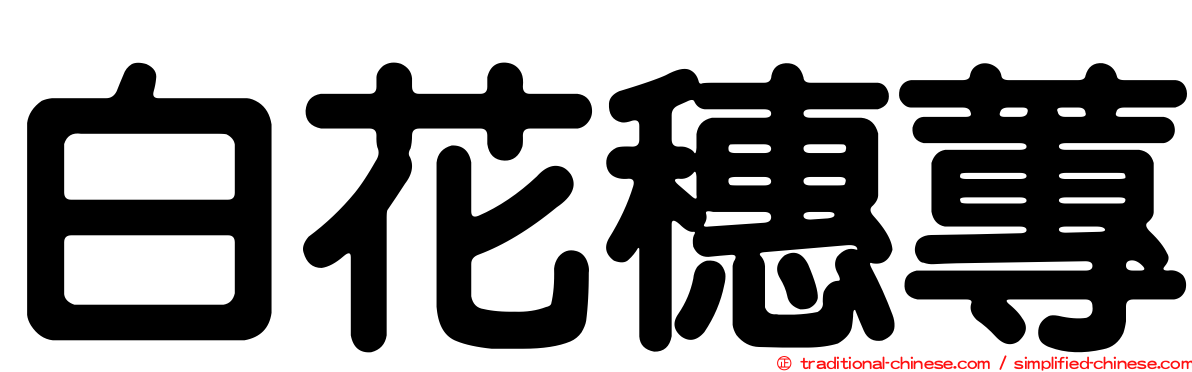 白花穗蓴
