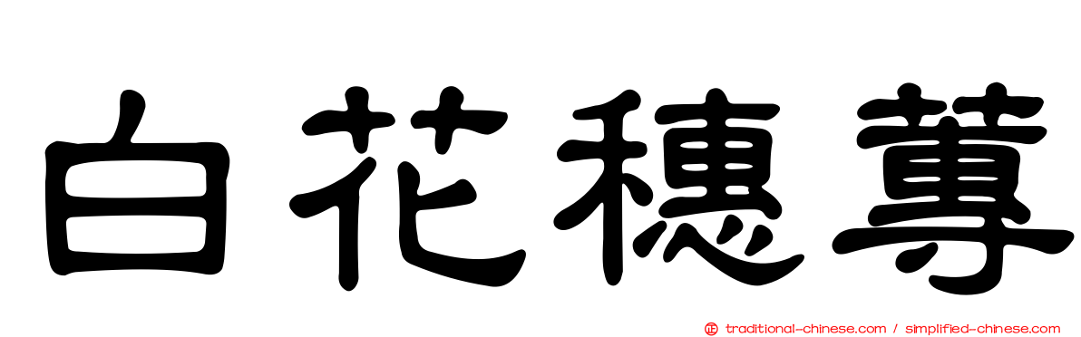 白花穗蓴