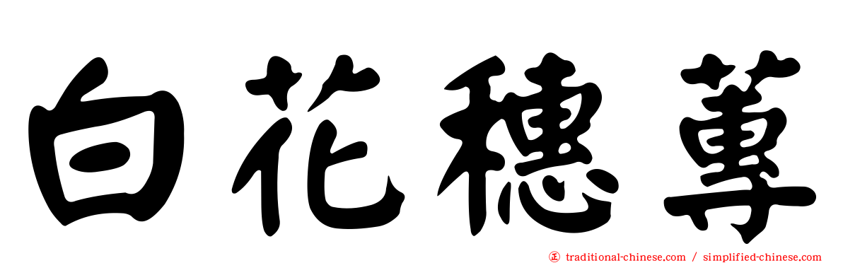 白花穗蓴