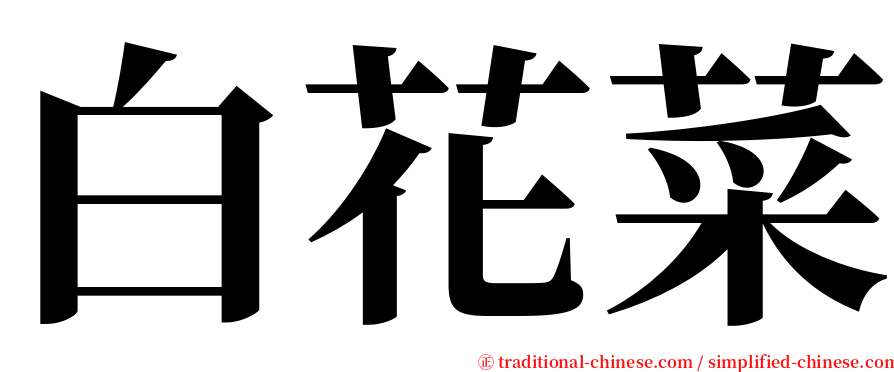 白花菜 serif font