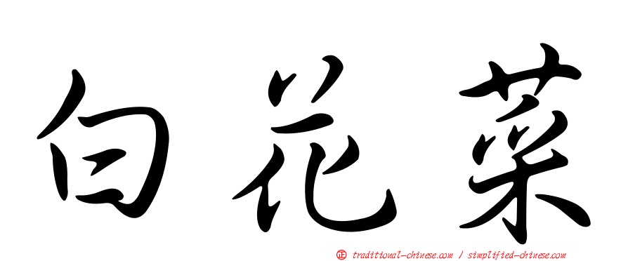 白花菜