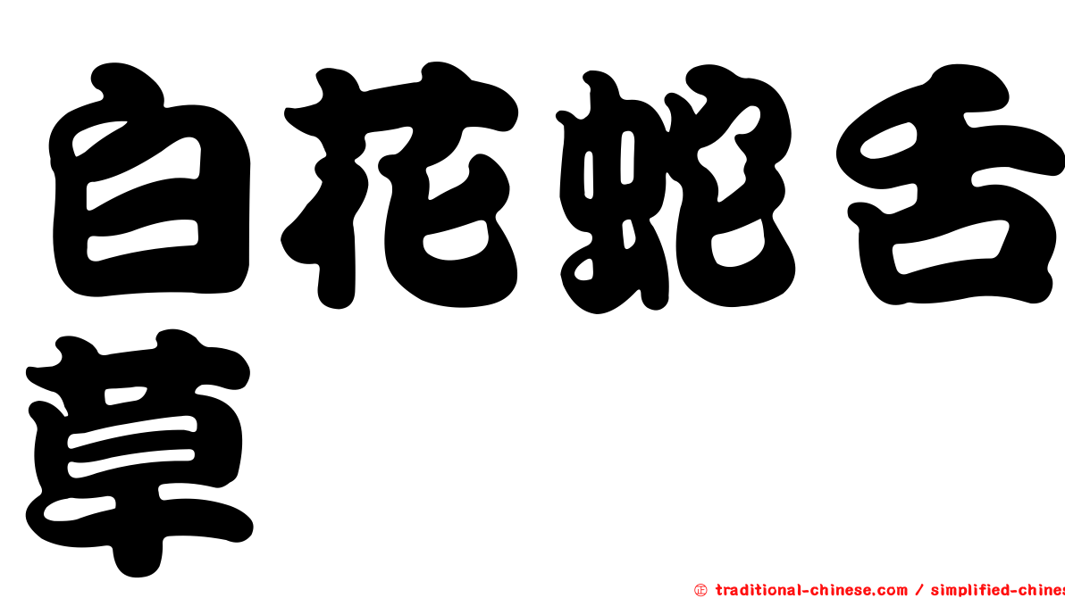 白花蛇舌草