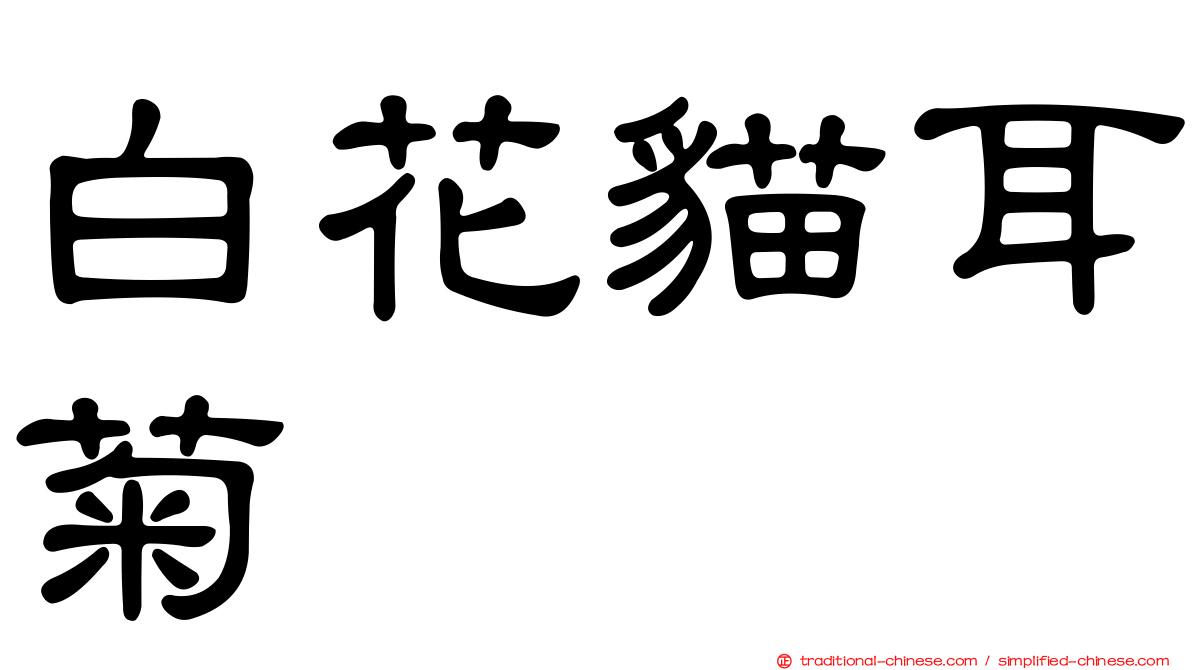 白花貓耳菊