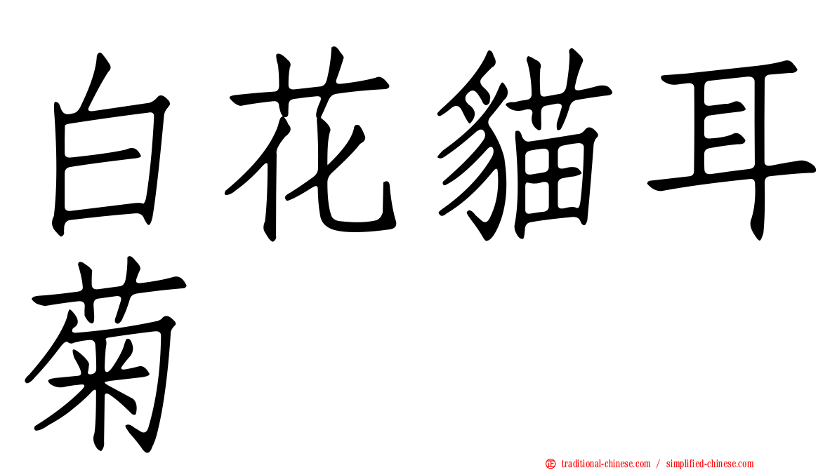 白花貓耳菊