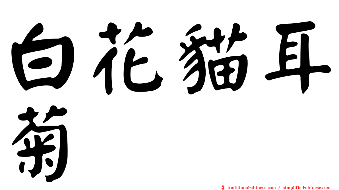白花貓耳菊