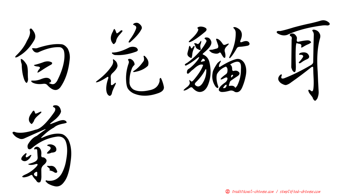 白花貓耳菊