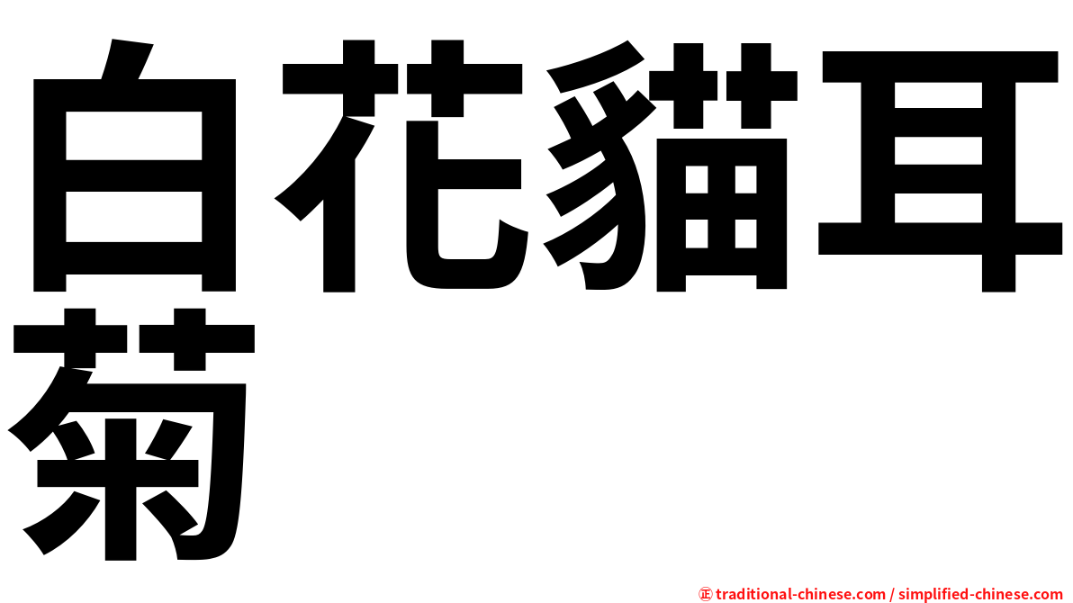 白花貓耳菊