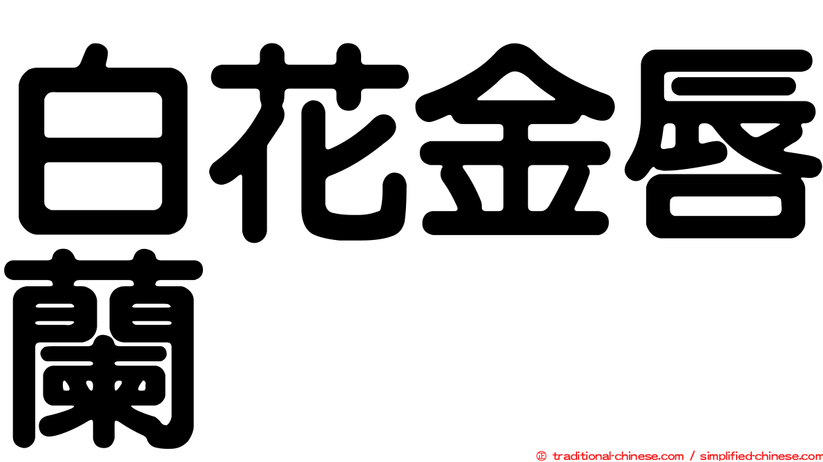 白花金唇蘭