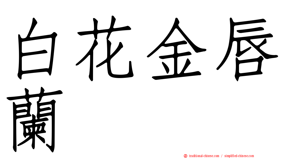 白花金唇蘭