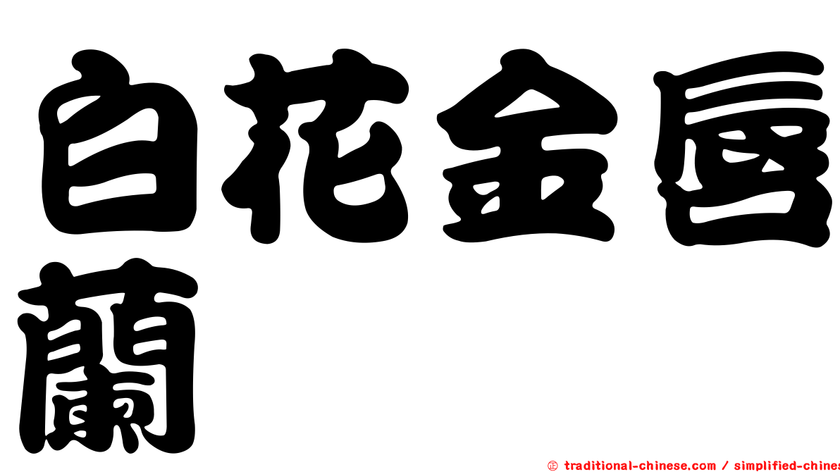 白花金唇蘭