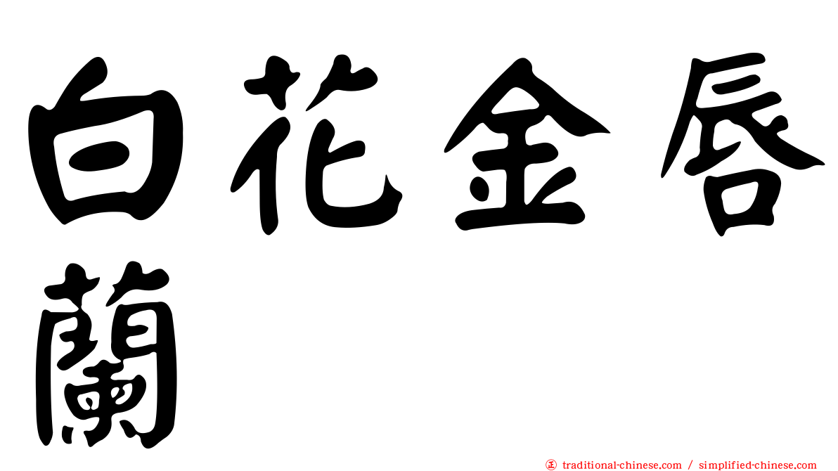 白花金唇蘭