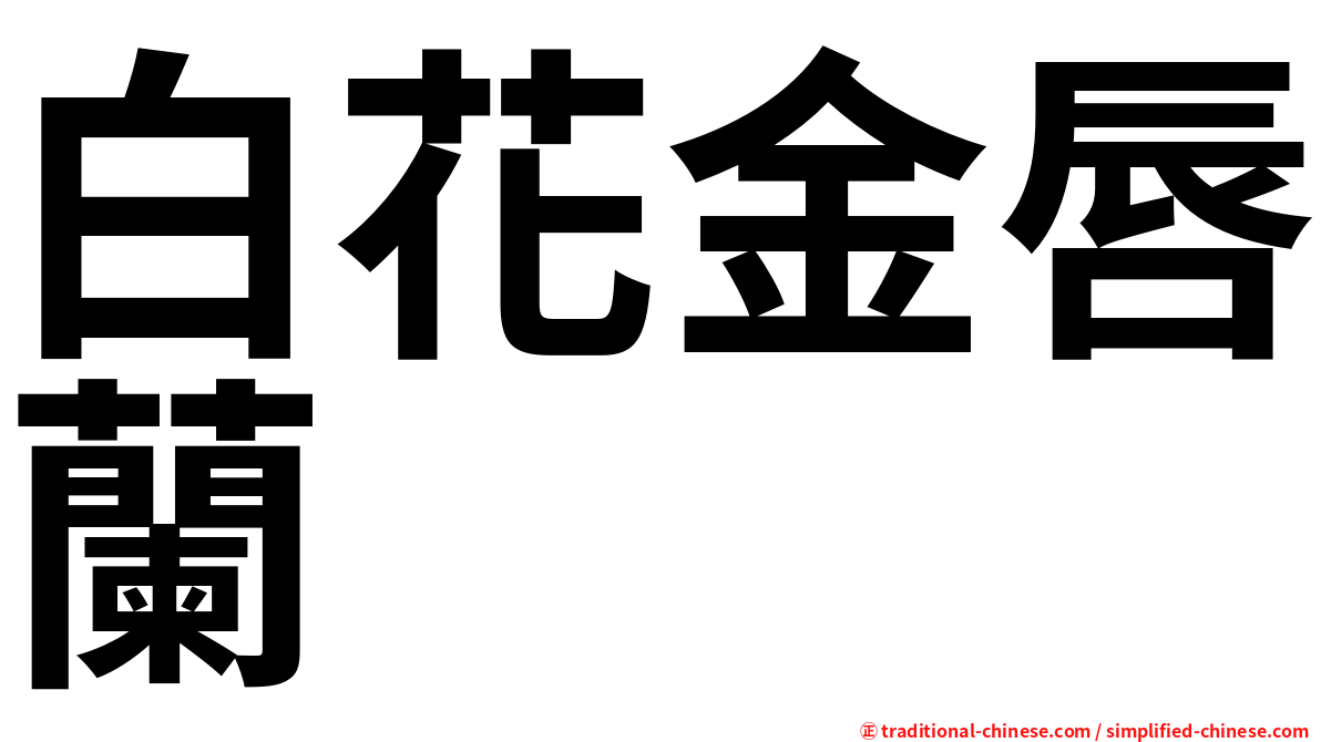 白花金唇蘭