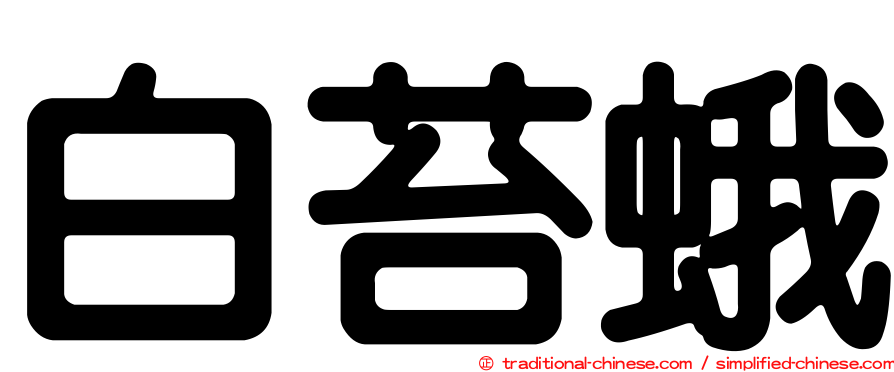 白苔蛾