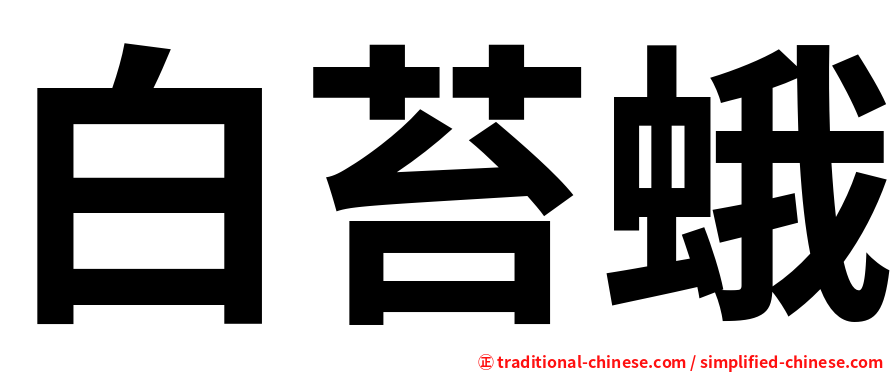 白苔蛾