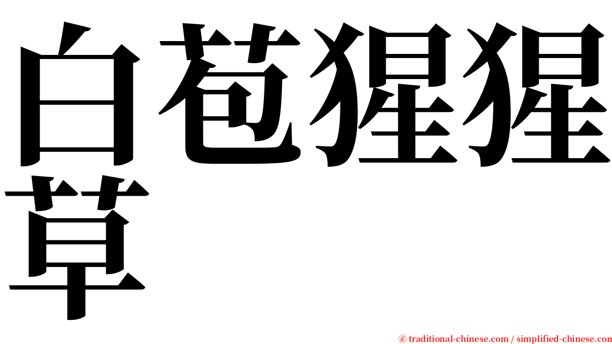 白苞猩猩草 serif font