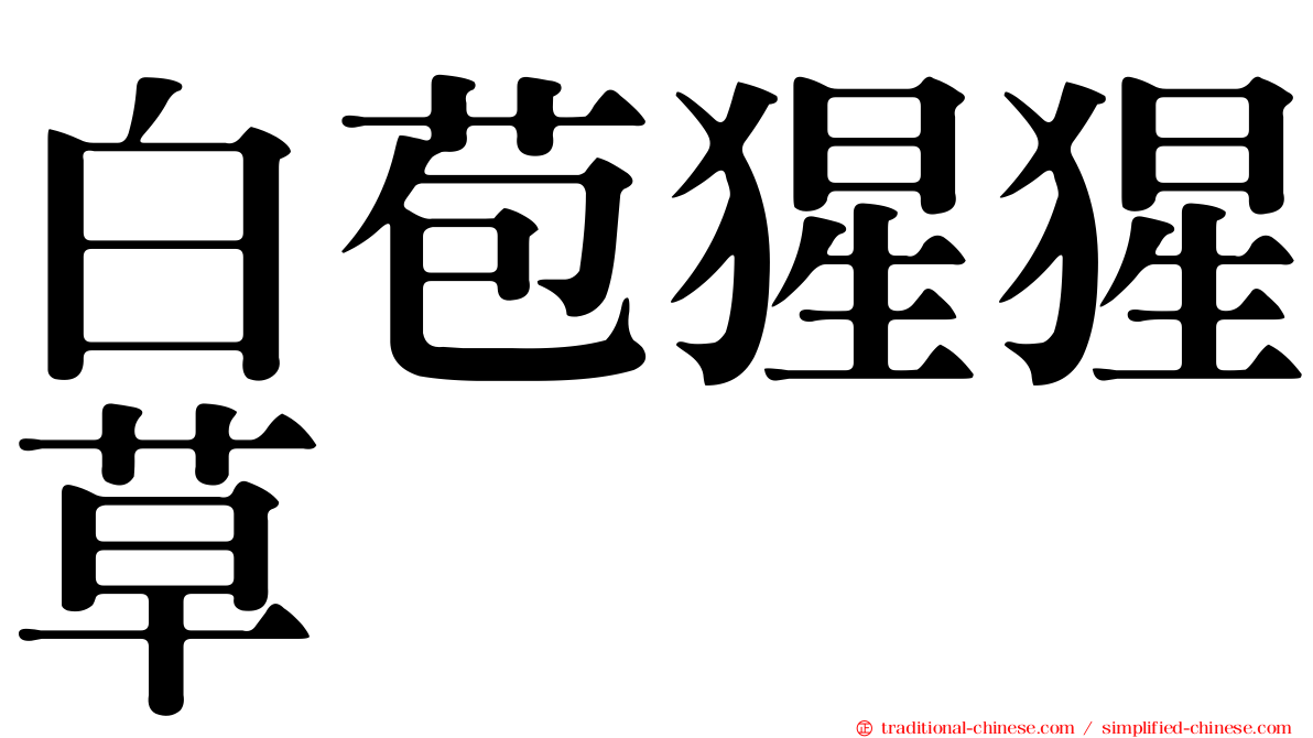 白苞猩猩草