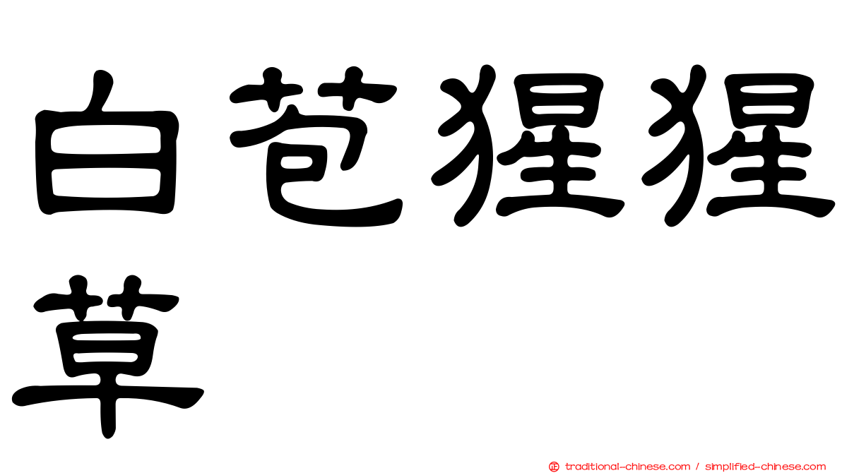 白苞猩猩草