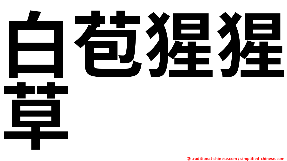 白苞猩猩草