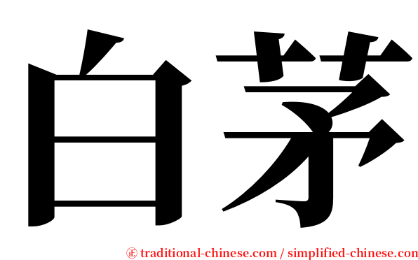 白茅 serif font
