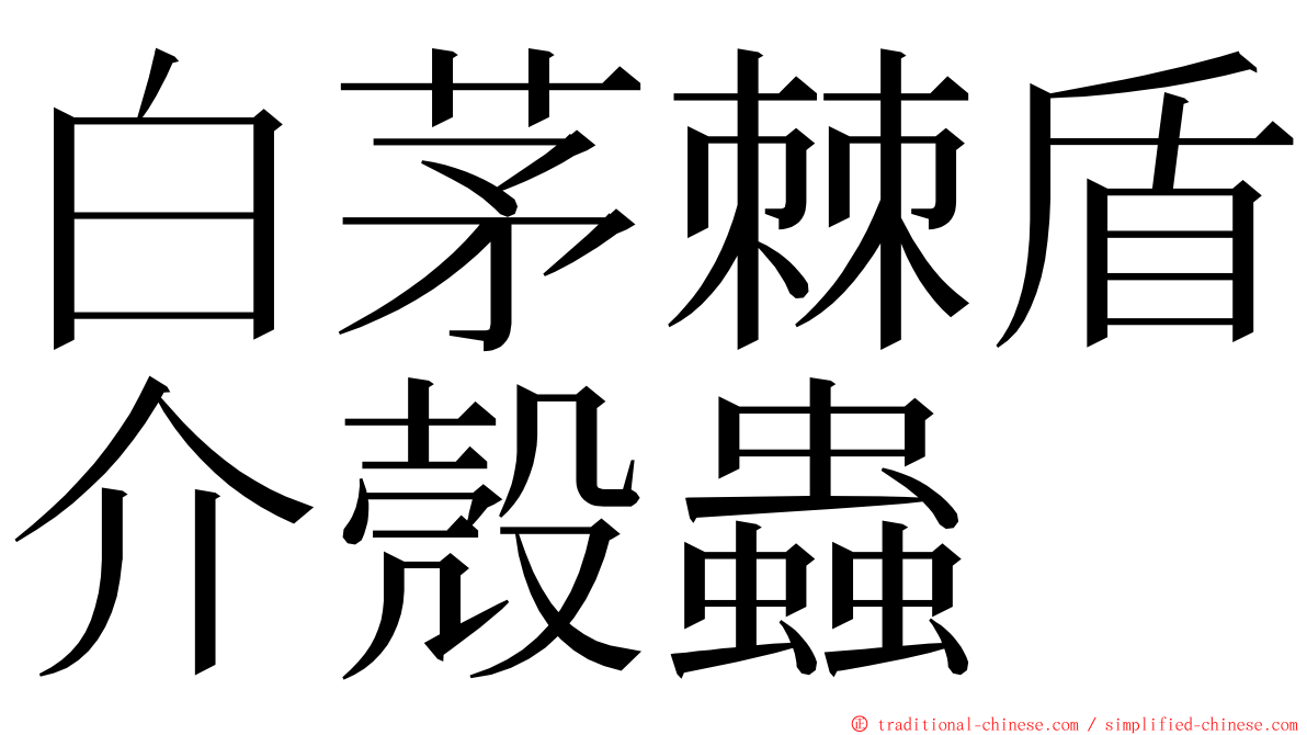 白茅棘盾介殼蟲 ming font