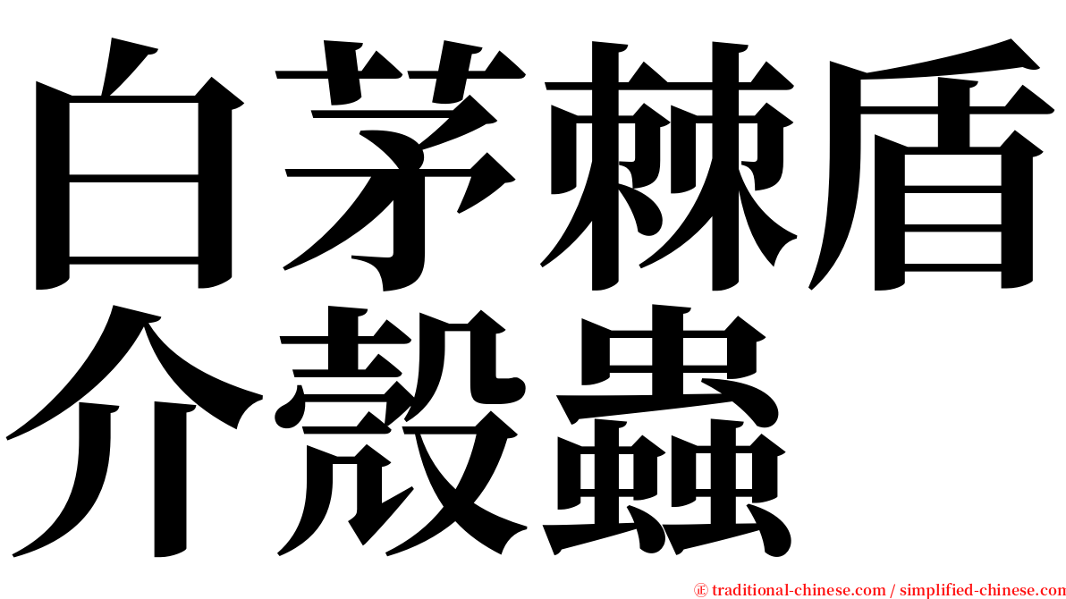 白茅棘盾介殼蟲 serif font