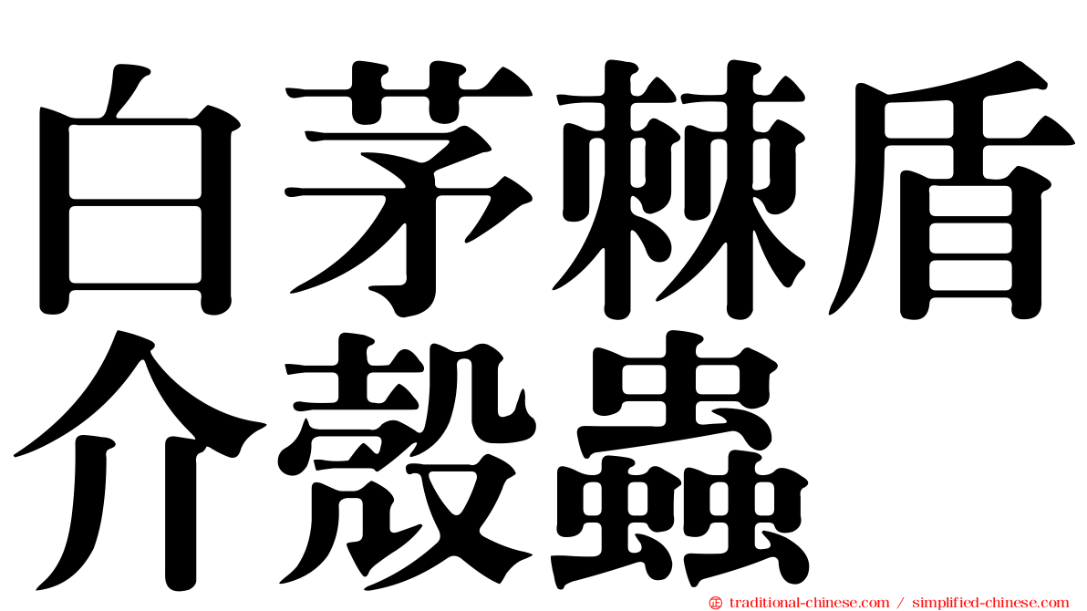 白茅棘盾介殼蟲