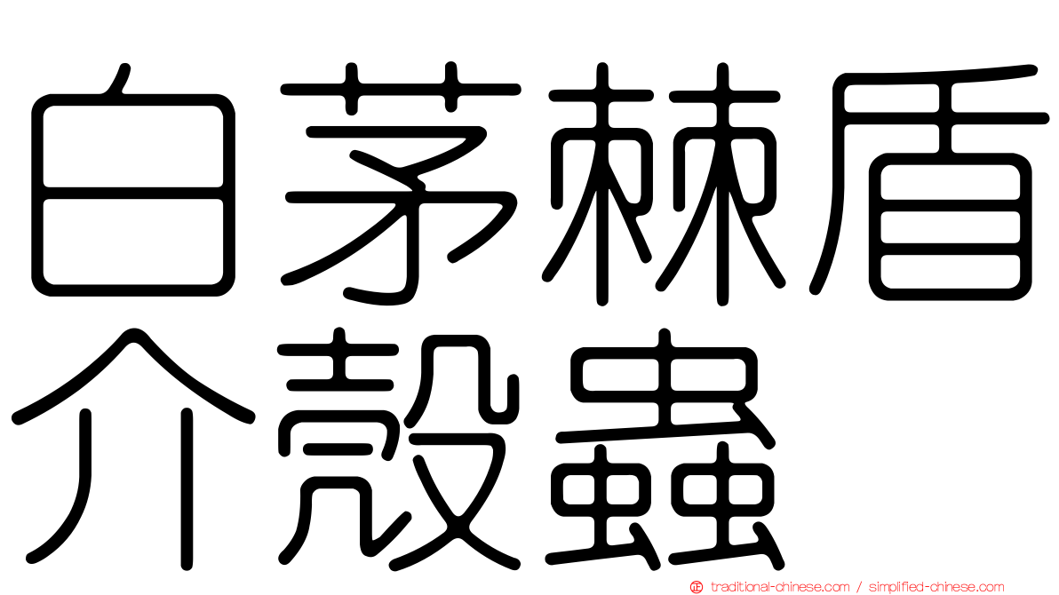 白茅棘盾介殼蟲