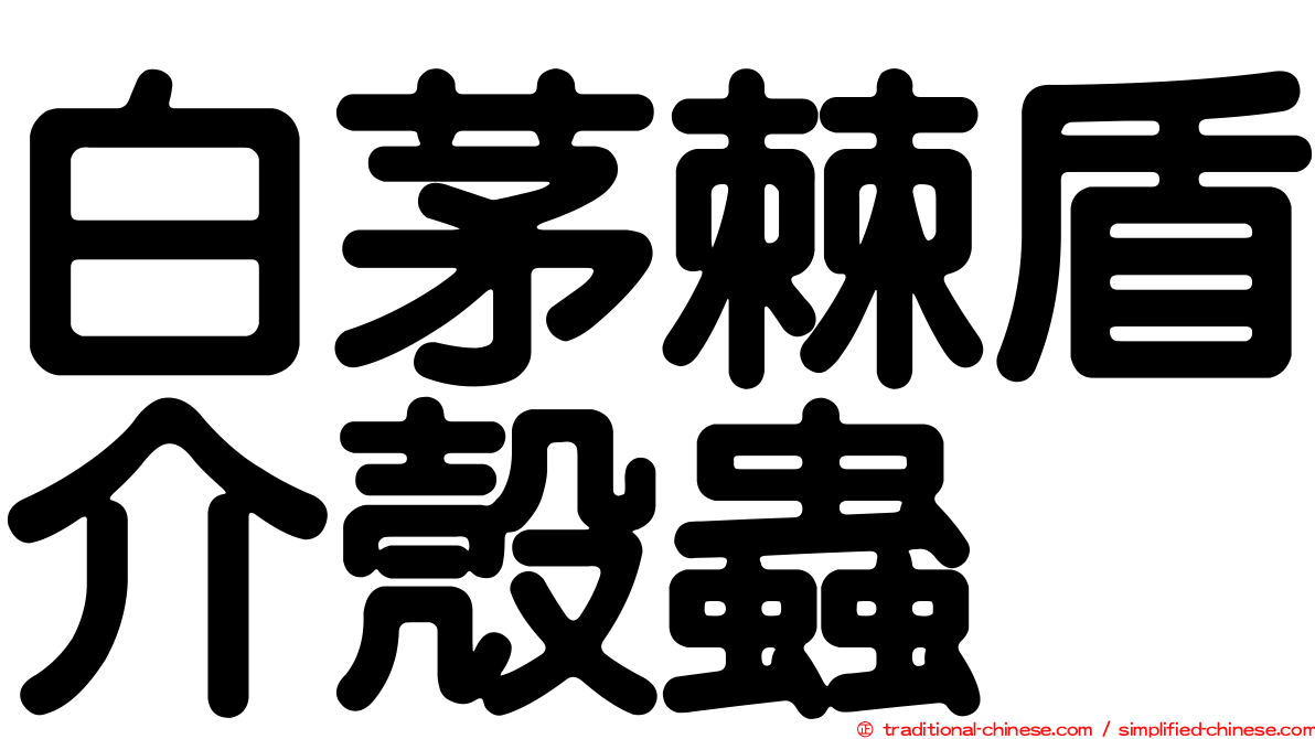 白茅棘盾介殼蟲