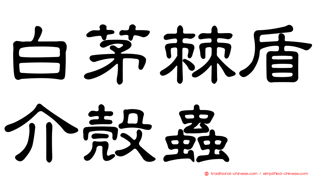白茅棘盾介殼蟲