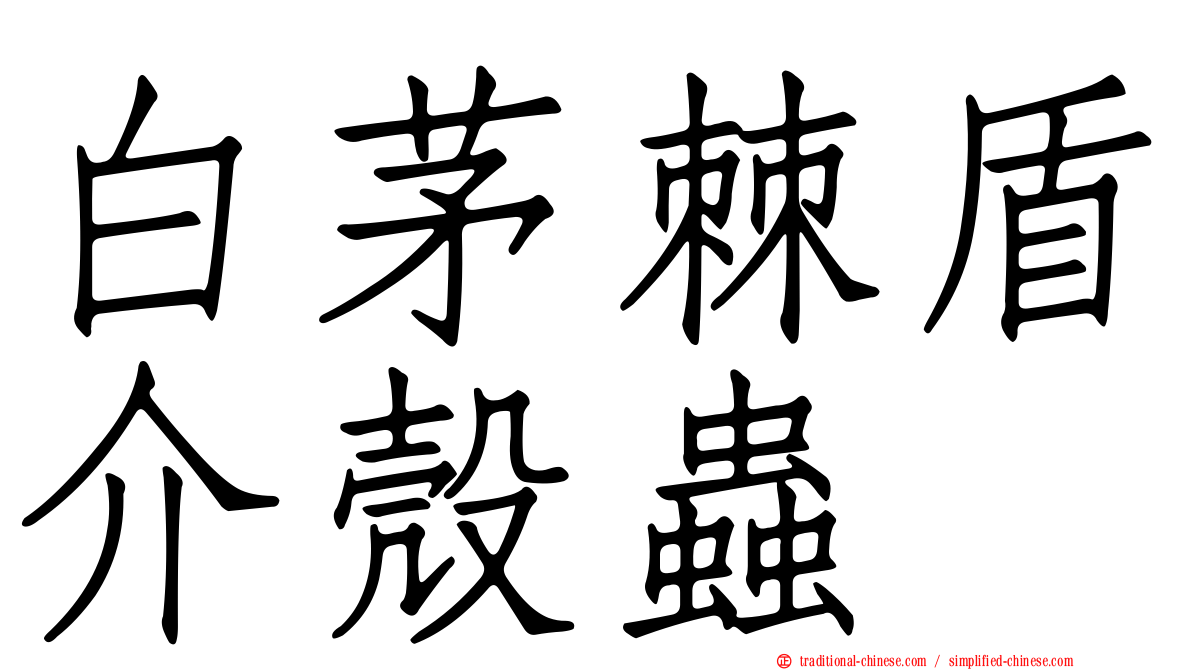 白茅棘盾介殼蟲