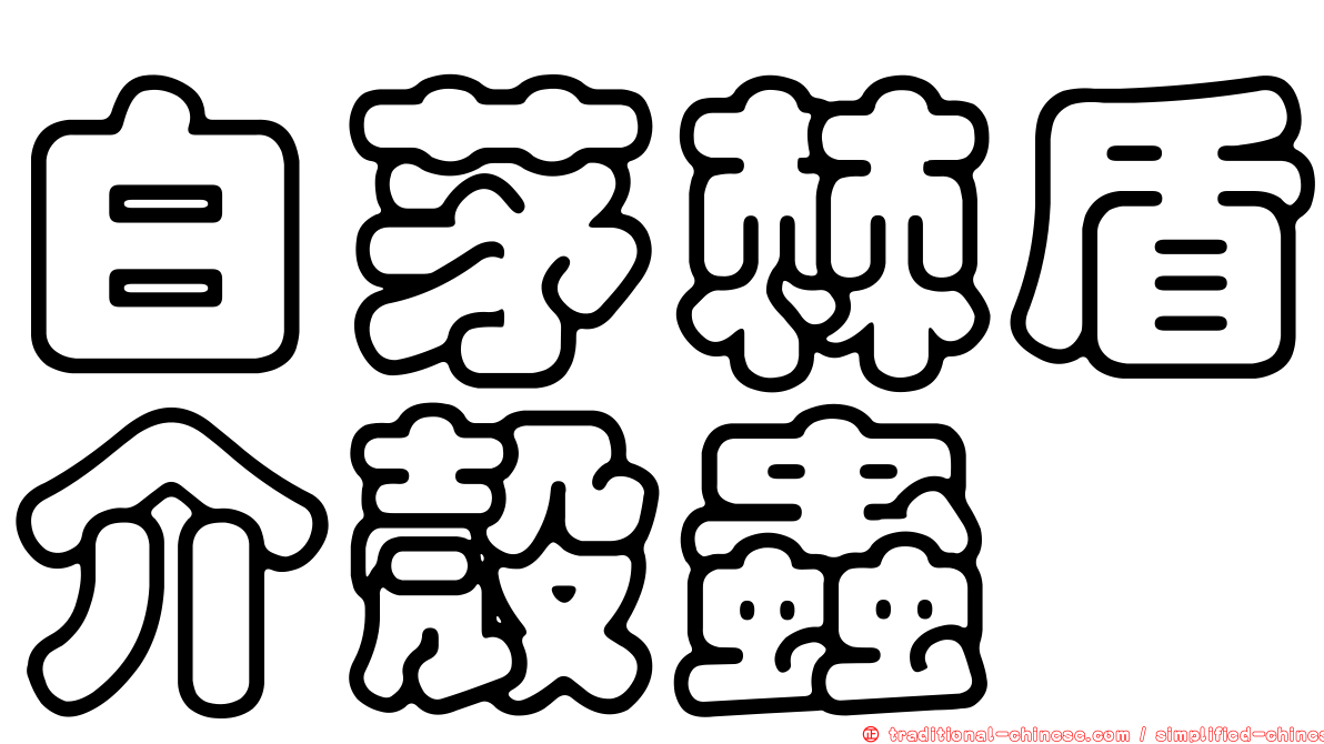 白茅棘盾介殼蟲