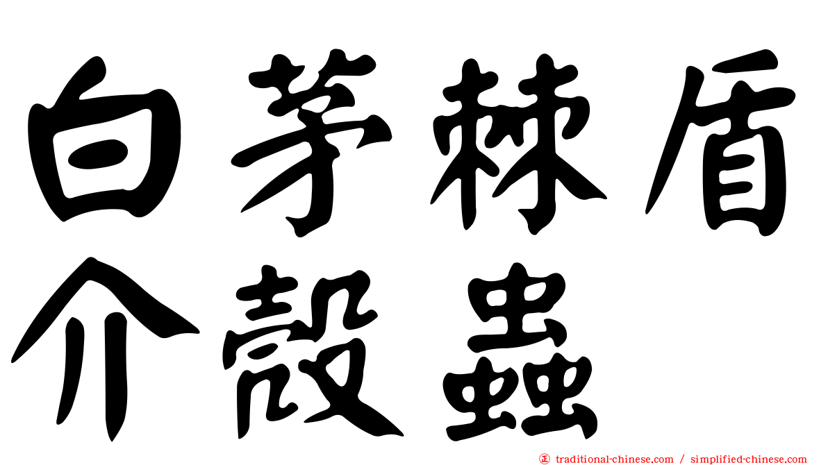 白茅棘盾介殼蟲