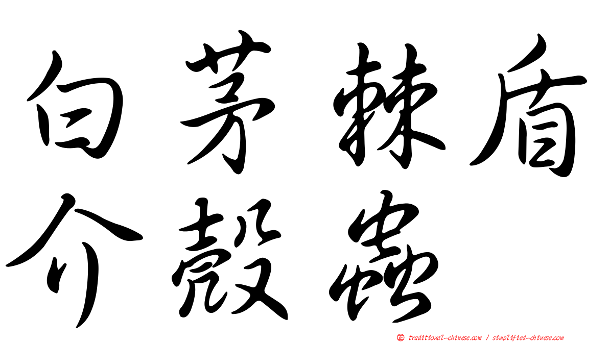 白茅棘盾介殼蟲