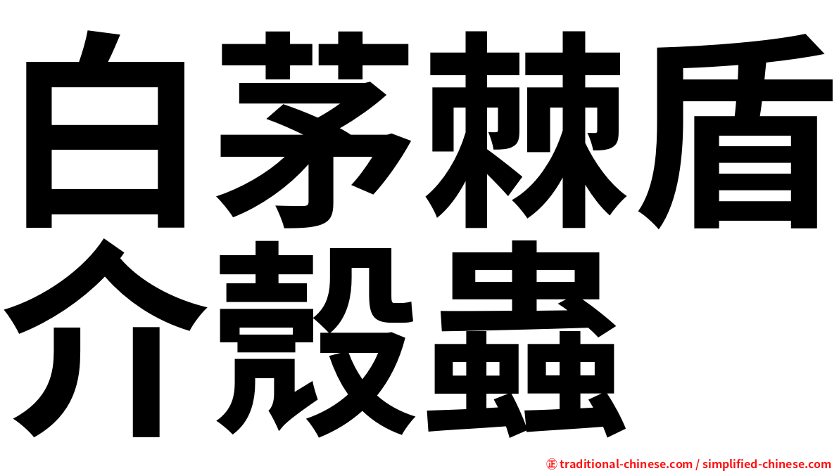 白茅棘盾介殼蟲