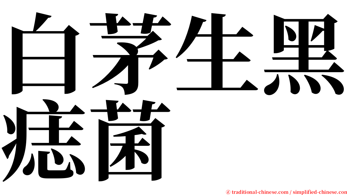 白茅生黑痣菌 serif font
