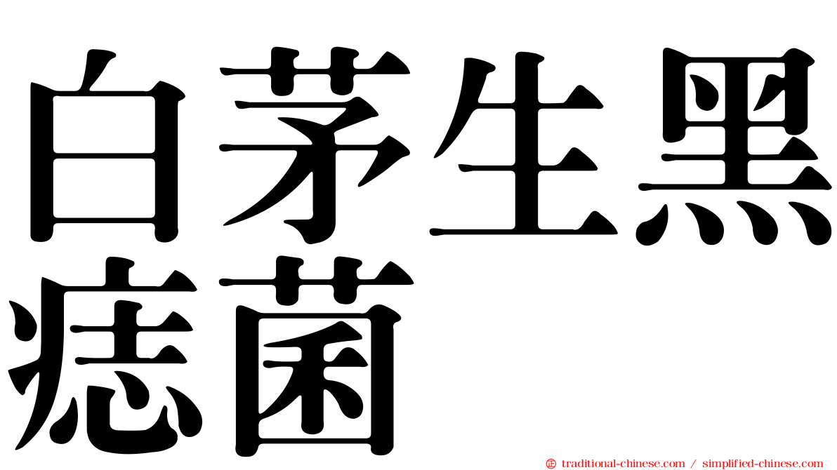 白茅生黑痣菌